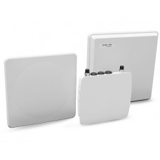 Multipoint 10100L Series